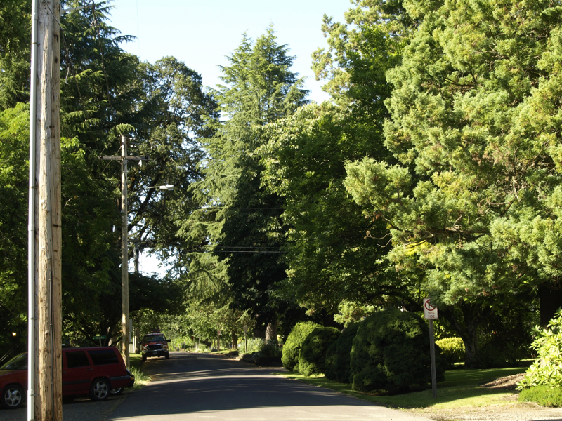 Forest Grove, Oregon, neighborhood